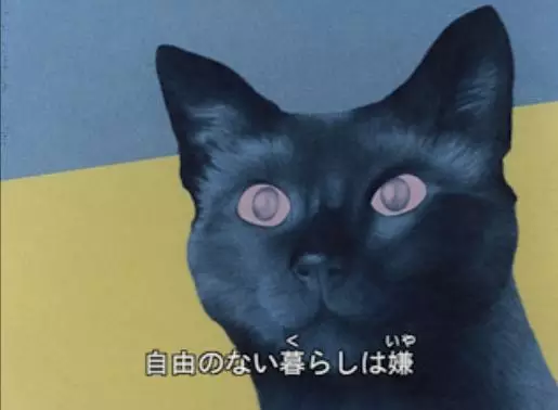 Poster Anime: Cat's Eye Love