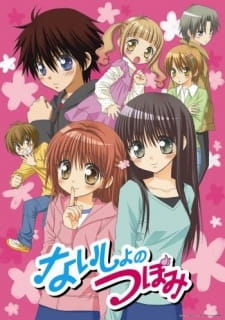 Poster Anime Naisho no Tsubomi