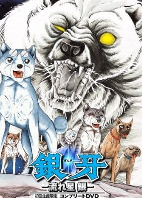 Poster Anime: Ginga Nagareboshi Gin