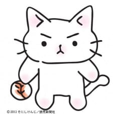 Gambar Anime Neko Pitcher