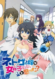 Poster Anime Netoge no Yome wa Onnanoko ja Nai to Omotta?