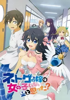 Gambar Anime Netoge no Yome wa Onnanoko ja Nai to Omotta?