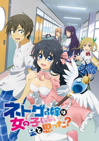 Anime image: Netoge no Yome wa Onnanoko ja Nai to Omotta?