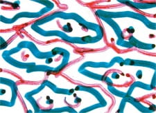 Poster Anime Direct Animation