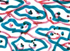 Gambar Anime Direct Animation