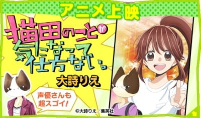 Anime Poster: Nekota no Koto ga Kininatte Shikatanai.