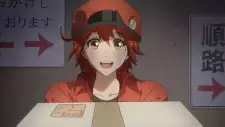 Gambar Anime Hataraku Saibou CM