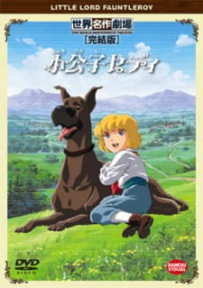 Poster Anime: Shoukoushi Cedie