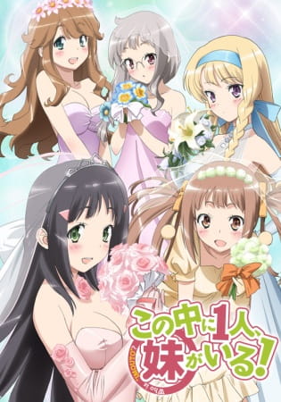 Gambar Anime: Kono Naka ni Hitori, Imouto ga Iru!