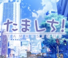Poster Anime Tamashichi!