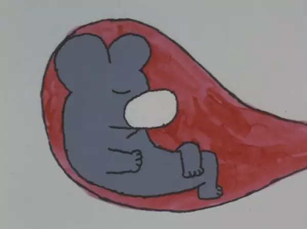 Gambar Anime: 12-gatsu no Uta