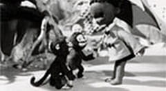 Gambar Anime: Chibikuro Sambo no Tora Taiji