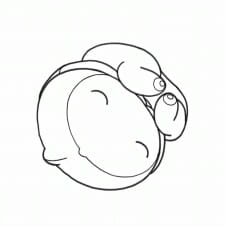 Poster Anime The Embryo Develops into a Fetus