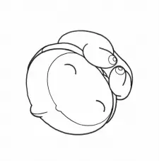 Gambar Anime The Embryo Develops into a Fetus