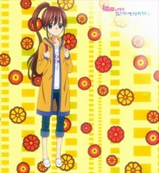 Poster Anime Nekota no Koto ga Kininatte Shikatanai. (ONA)