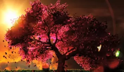 Anime Poster: Cherry Blossom (Music)