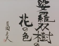 Poster Anime Sarasoujuu no Hana no Iro