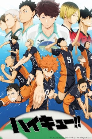 Anime Poster: Haikyuu!!