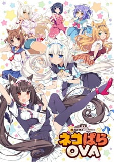 Poster Anime Nekopara OVA