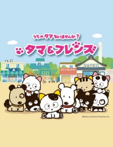 Poster Anime Tama & Friends: Uchi no Tama Shirimasen ka?
