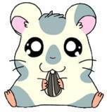 Gambar Karakter Koushi-kun