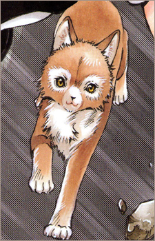 Gambar Karakter Inuki