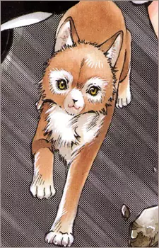 Gambar Karakter Anime: Inuki