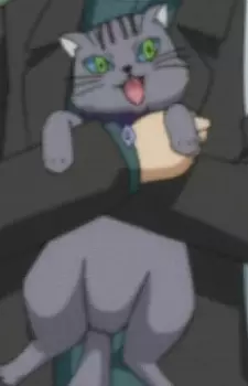 Gambar Karakter Anime: Russian Cat