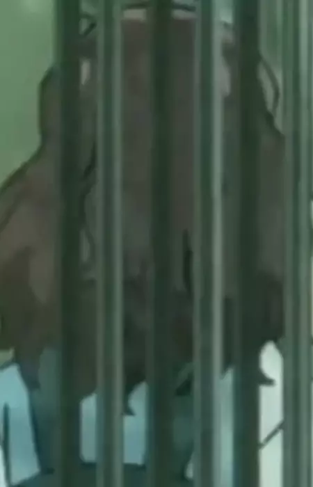 Gambar Karakter Anime: Eimi Yokota