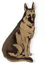 Gambar Karakter Anime: Gorou