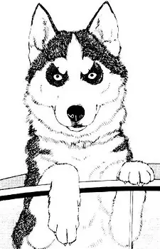 Gambar Karakter Anime: Chobi