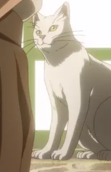 Gambar Karakter Anime: Tim