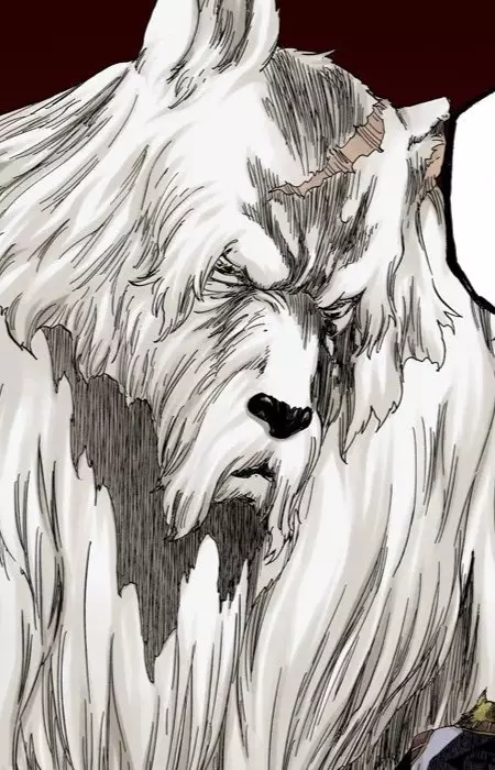 Gambar Karakter Anime: Wolfman Clan Elder