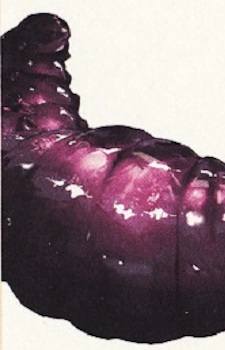 Gambar Karakter Beebeezee