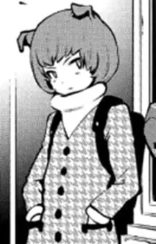 Gambar Karakter Anime: Fidelio Aureus Magnus