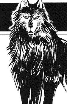 Gambar Karakter Anime: Black Wolf