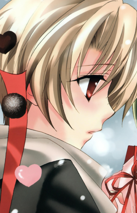 Gambar Satoshi Houjou