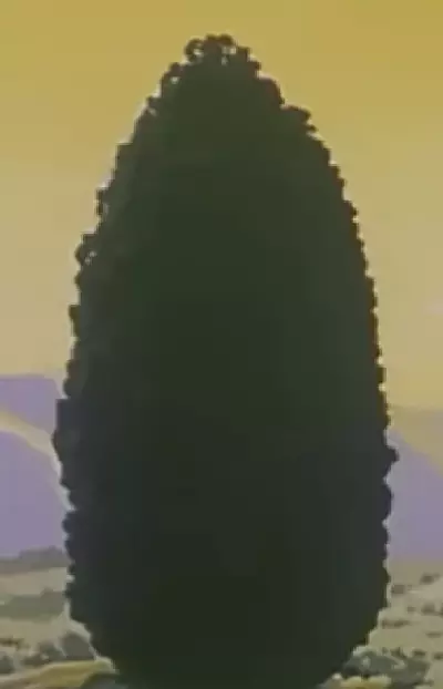 Gambar Karakter Anime: Roda