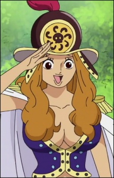 Gambar Karakter Aphelandra