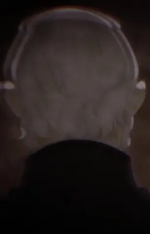 Gambar Karakter Anime: Franz Schtingheim