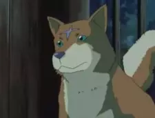 Gambar Karakter Anime: Wolf