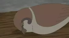 Gambar Karakter Anime: Suzume