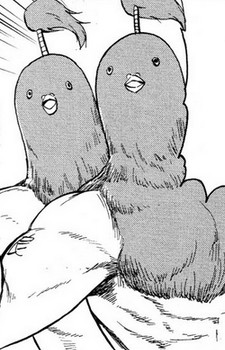 Gambar Karakter Chicken Brothers