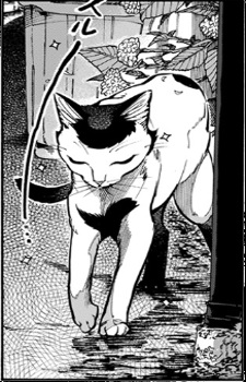 Gambar Karakter Akemi