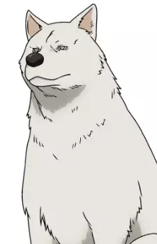 Gambar Karakter Anime: Dog