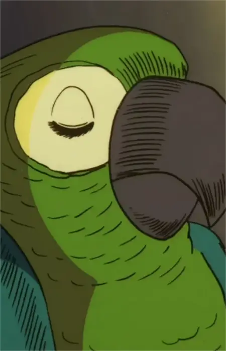 Gambar Karakter Anime: Navigator's Parrot