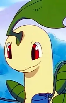 Gambar Karakter Anime: Bayleef