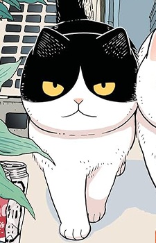 Gambar Karakter Hachi