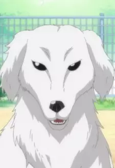 Gambar Karakter Anime: Julian