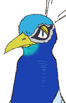 Gambar Karakter Peacock